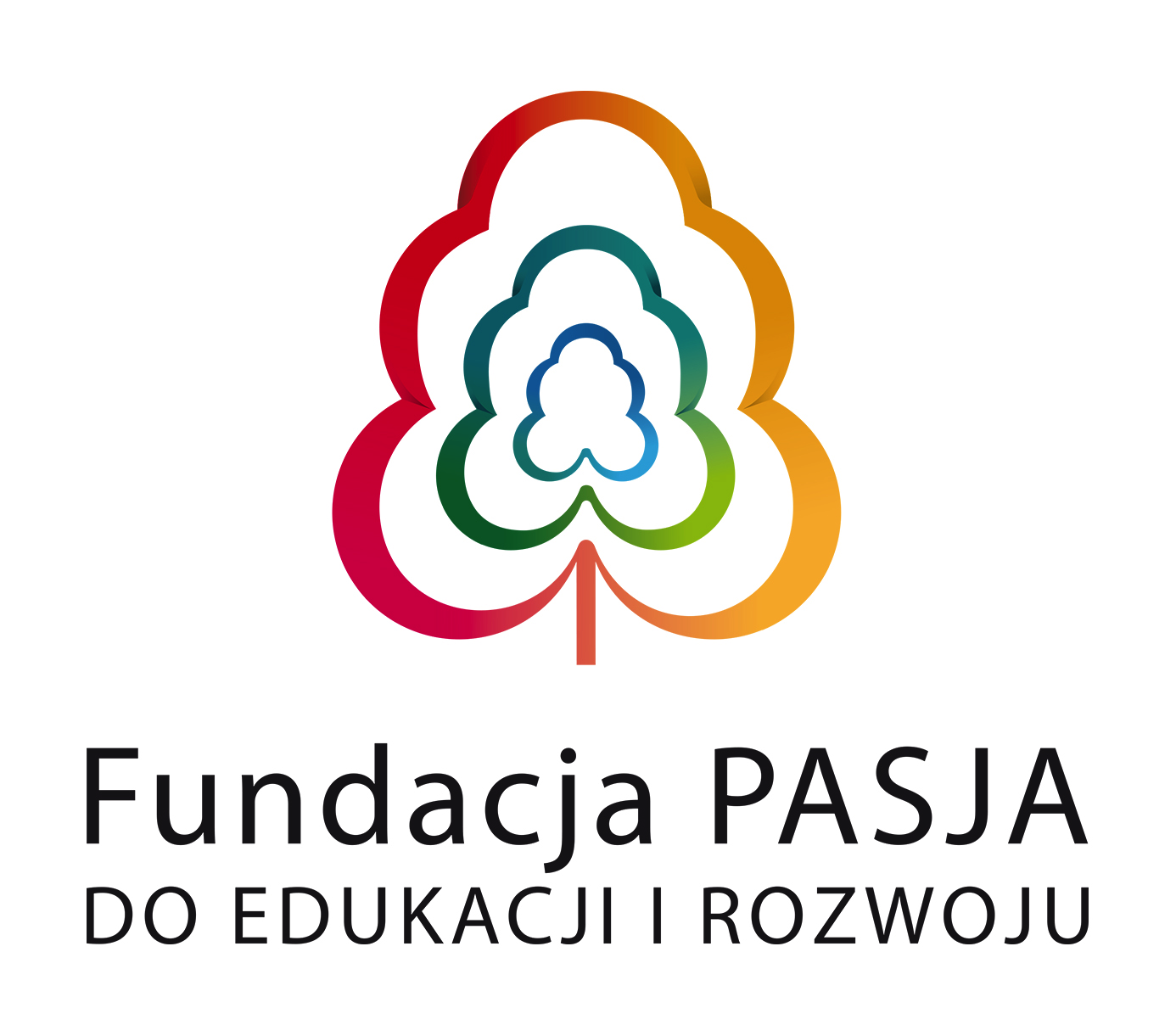 Logo Fundacja Pasja do Edukacji i Rozwoju